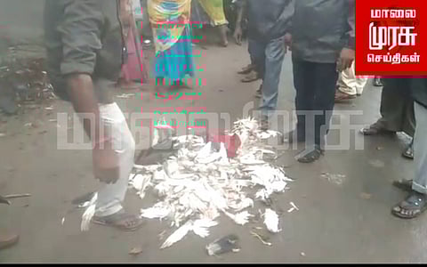 அரிய வகை வன பறவைகள் வேட்டையாடிய நரிக்குறவர்கள்...! மீட்ட வனத்துறையினர்...!