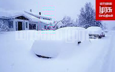 பிறந்தநாளில் இறந்த வில்லியம்...சோகத்தை ஏற்படுத்திய பனிப்பொழிவு!!!