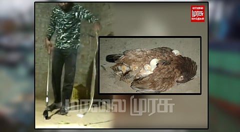 உயிரைக் கொடுத்து குஞ்சுகளை காப்பாற்றிய கோழி...