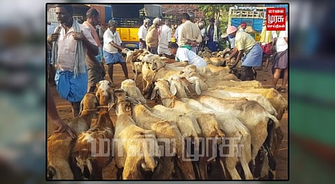 ஆட்டு சந்தையில் ரூ.45 லட்சம் வரை வர்த்தகம்...