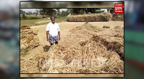 கேழ்வரகு பயிர்களை நாசம் செய்த காட்டு யானைகள்...
