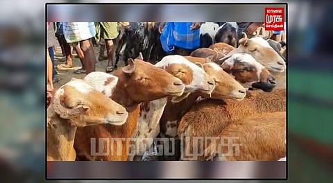 களை கட்டிய வார சந்தை... ரூ.8 கோடிக்கு மேல் வர்த்தகம் ...