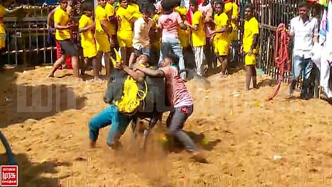 அவனியாபுரம் ஜல்லிக்கட்டு.. சீறிப்பாய்ந்த காளைகளை வீரத்துடன் அடக்கும் மாடுபிடி வீரர்கள்..!