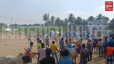 புதுக்கோட்டையில் அனுமதியின்றி நடத்தப்பட்ட ஜல்லிக்கட்டு போட்டியால் பரபரப்பு