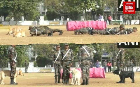 75வது இராணுவ தின விழா...அசத்திய மோப்ப நாய்கள்...வைரலாகும் வீடியோ!