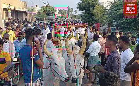 ரேக்ளா ரேசில் சீறிப்பாய்ந்த மாடுகள்...ஆரவாரத்துடன் கண்டுகளித்த மக்கள்...!