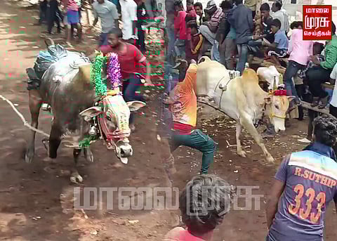 41ம் ஆண்டு மாபெரும் எருது விடும் திருவிழா கொண்டாடிய கிராமம்...