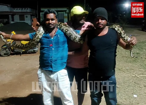 மலைபாம்பைப் பிடித்து செல்ஃபீ எடுத்த இளைஞர்கள்...