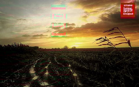 அழிக்கப்பட்ட வயல்....ஆப்கானிஸ்தானில் தொடரும் அராஜகம்!!!