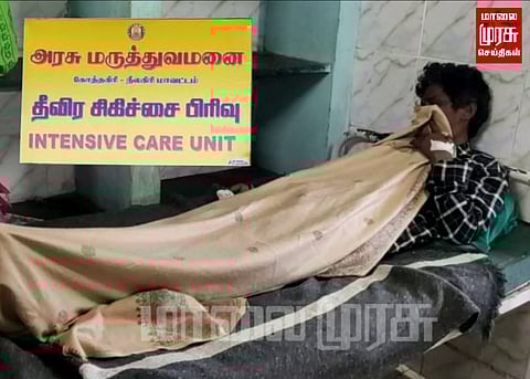 சிறுத்தை புலி தாக்கி ஒருவர் படுகாயம்...