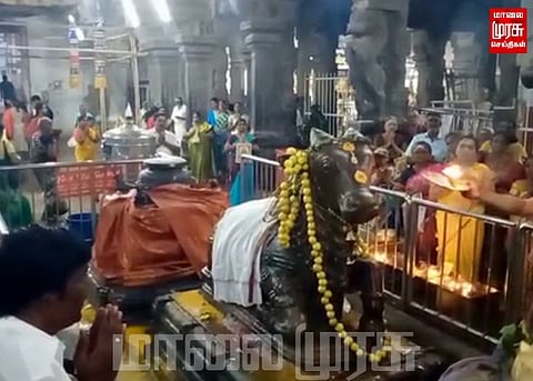சங்கரநாராயண சுவாமி கோயில் பிரதோஷ வழிபாடு...