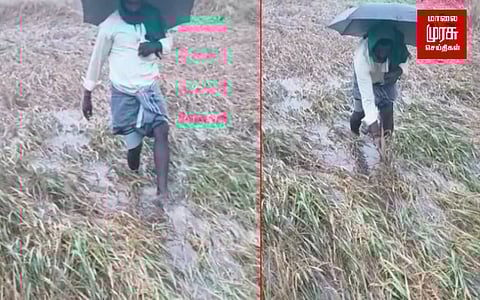 காற்றழுத்த தாழ்வு மண்டலம் காரணமாக பெய்த மழையால்... நெற்பயிா் அறுவடை பாதிப்பு...கவலையில் விவசாயிகள்!