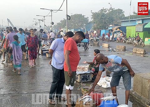 களை இழந்து காணப்பட்ட காசிமேடு மீன் மார்க்கெட் ...