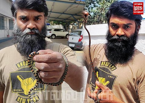 காரில் இருந்து பறக்கும் பாம்பு...