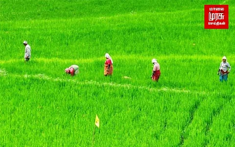 கையகப்படுத்தப்பட்ட விவசாய நிலங்கள்... மீட்கப்படுமா?!!