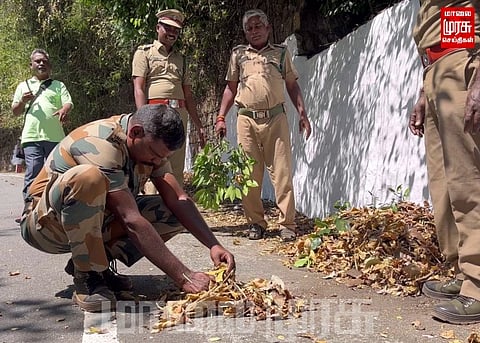 காட்டுத்தீயைத் தடுக்கும் பணியில் மும்முரம்... வனத்துறையினர் அதிரடி ...