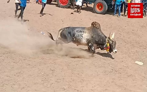 களத்தில் குதித்த மாடுபிடிவீரரை தூக்கி வீசிய காளை...சோகத்தில் மூழ்கிய மக்கள்!