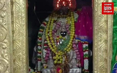 கொடியேற்றத்துடன் கோலாகலமாக தொடங்கிய மாசித் திருவிழா...!