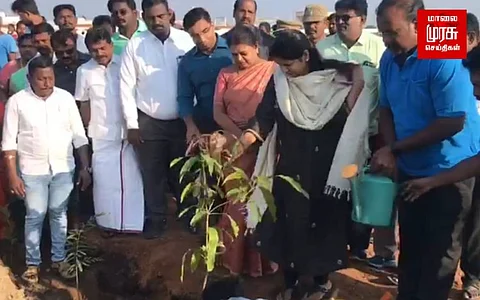 70ஆயிரம் மரக்கன்றுகள் நடும் விழா - கனிமொழி தொடங்கி வைப்பு !