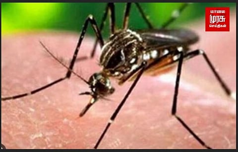 சென்னையில் 10 நாளில் கொசு பரவல் கட்டுபடுத்தபடும் - துணை மேயர்