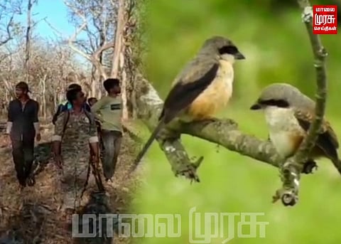 தரைவாழ் பறவைகளின் கணக்கெடுப்பு பணி தொடக்கம்...