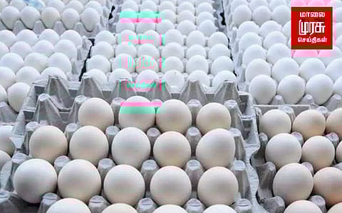 நாமக்கல் : ஒரு மாதத்திற்கு பிறகு உயர்ந்த முட்டை விலை...!