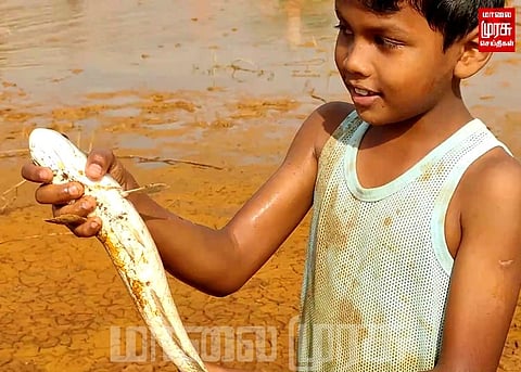 3 கிராமங்களுக்கு நடைபெற்ற மீன்பிடி திருவிழா... ஏராளமானோர் பங்கேற்பு...