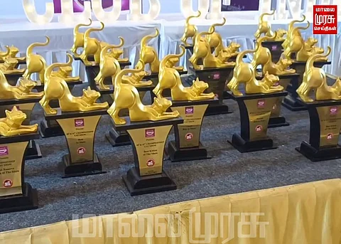 செல்லப் பிராணிகளுக்கான போட்டியில் அழகுப் பூனைகள் பங்கேற்பு...