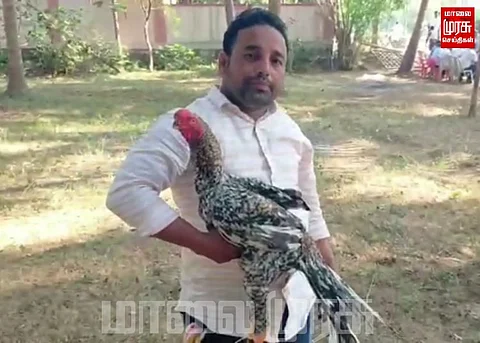 திருச்சியின் முசிறி அருகே நடந்த சேவல் கண்காட்சி...