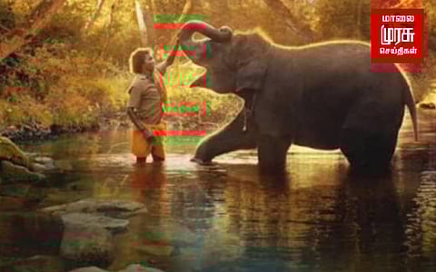 ஆஸ்காரை அலங்கரித்தது ’தி எலிபெண்ட் விஸ்பரர்ஸ்’...!