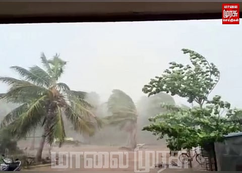சூறாவளி காற்றுடன் கனமழை... 3,000 ஏக்கர் பயிர்கள் சேதம்...