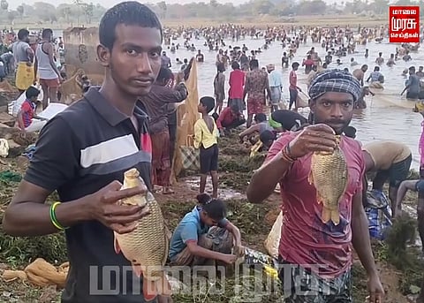 மதுரையில் நடைபெற்ற மீன்பிடி திருவிழா... பல்லாயிரக்கணக்கானோர் பங்கேற்பு...