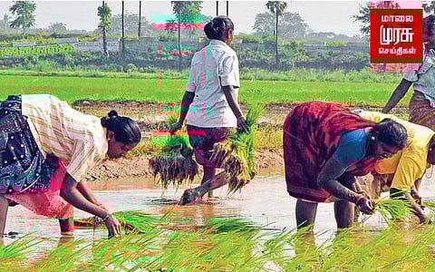 வேளாண் பட்ஜெட்2023: விவசாயிகளுக்கு வெளிநாட்டில் பயிற்சி அளிக்கப்படுமா?!