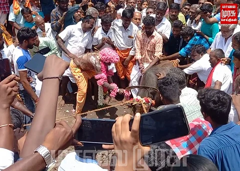 பத்ரகாளியம்மன் கோயிலில் எருமை கிடாய் வெட்டி படையல்...