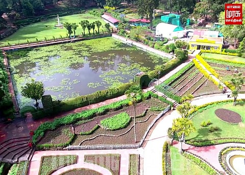 கோடை காலத்தை ஒட்டி செழித்து வளர தொடங்கிய மலர் நாற்றுகள்...