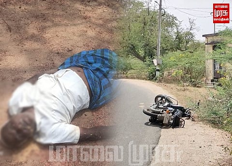மலை தேனீக்கள் கடித்து முதியவா் பலி... 13 போ் காயம்...