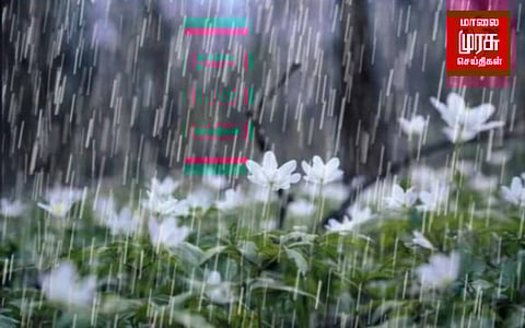 திடீர் மழையால் மக்கள் மகிழ்ச்சி....!!