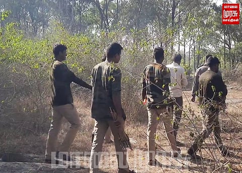 தாயை இழந்து தவிக்கும் குட்டி யானைகள்... தீவிரமாக தேடும் வனத்துறையினர்...
