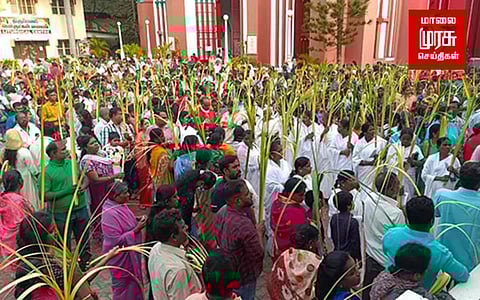சிறப்பாக நடைபெற்ற குருத்தோலை பவனி...!!!