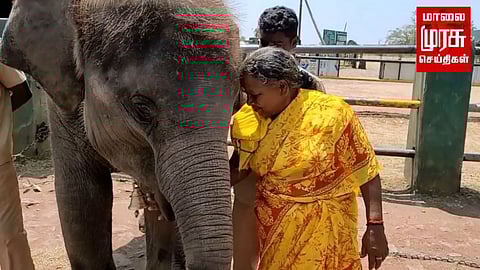 ஆஸ்கார் நாயகர்களை காண வரும் பிரதமர்....9ஆம் தேதி முதுமலைக்கு வருகிறார்..