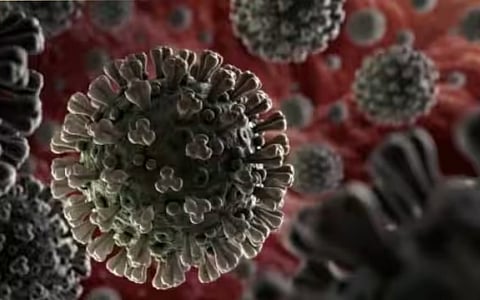 இந்தியாவில் அதிகரித்து வரும் கொரோனா...!!