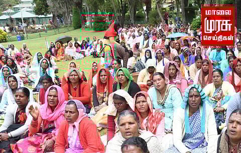 உதகை தாவரவியல் பூங்காவில்.... ஊழியர்கள் போராட்டம்...!