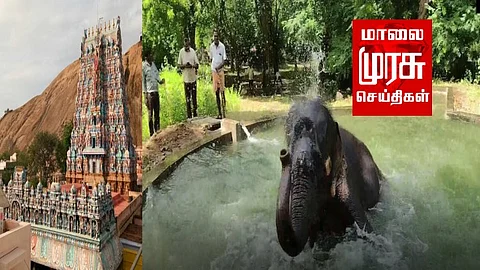 கோடை வெயில் கொளுத்துது.! கும்மாளம் போட்ட கோவில் யானை...! வைரலாகும் வீடியோ..!