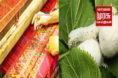 நலிவடைந்து வரும் பட்டுப் புழு வளர்ப்பு தொழில்.... விவசாயிகள் வேதனை...