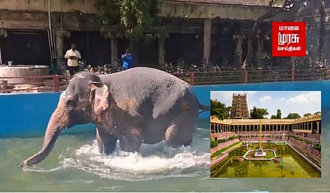 கோவில் யானைக்கு குளியல் தொட்டி...! பரவசத்தில் துள்ளிக்குதித்த பார்வதி....!