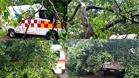 மதுரையில் திடீரென பெய்த மழை; மருத்துவமனையில் மரங்கள் விழுந்து விபத்து...!