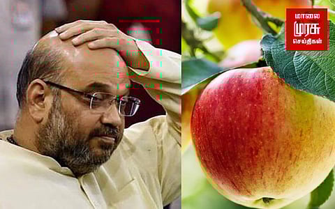 அமித்ஷாவா? ஆப்பிளா?