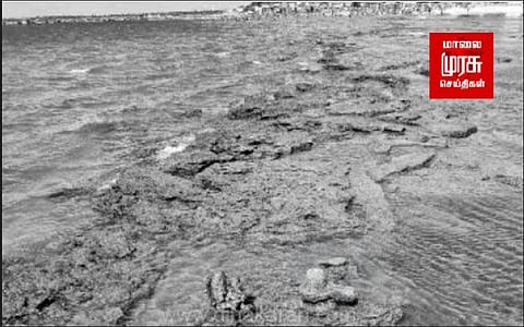 திடீரென உள்வாங்கிய கடல் - பக்தரகள் மீனவர்கள் அச்சம்!!!