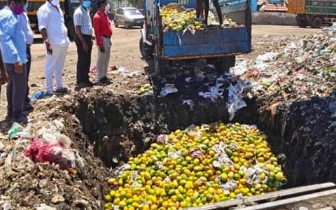 அறந்தாங்கியில் 250 கிலோ மாம்பழங்கள் அழிப்பு...காரணம் என்ன!!