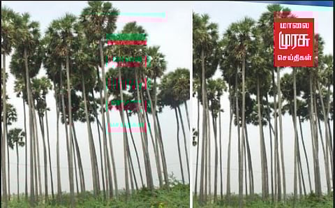 100 அடி பனையில் மது அருந்திய போதை பிரியர் - நீண்ட போராட்டத்துக்கு பின் உயிருடன் மீட்பு